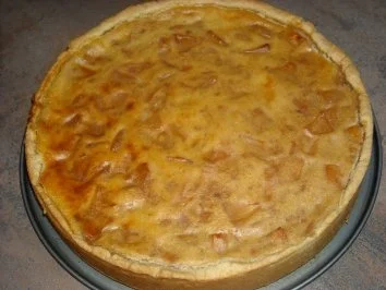 Apfel-Pudding-Kuchen - Rezept - Bild Nr. 10
