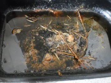 Gebratenes Hähnchen mit Rosmarin ~ buntes Gemüse ~ Reis - Rezept - Bild Nr. 14