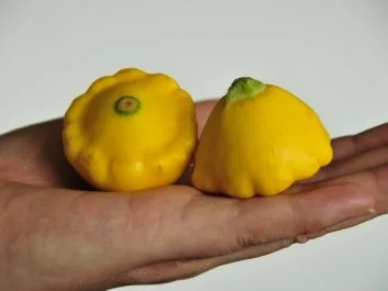 Sobanudeln mit Gemüse - Rezept - Bild Nr. 3