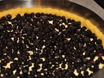 Topfenkuchen mit Heidelbeeren - Rezept - Bild Nr. 7