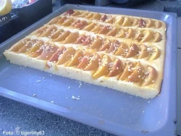 Joghurt-Grießkuchen mit Äpfeln - Rezept - Bild Nr. 2