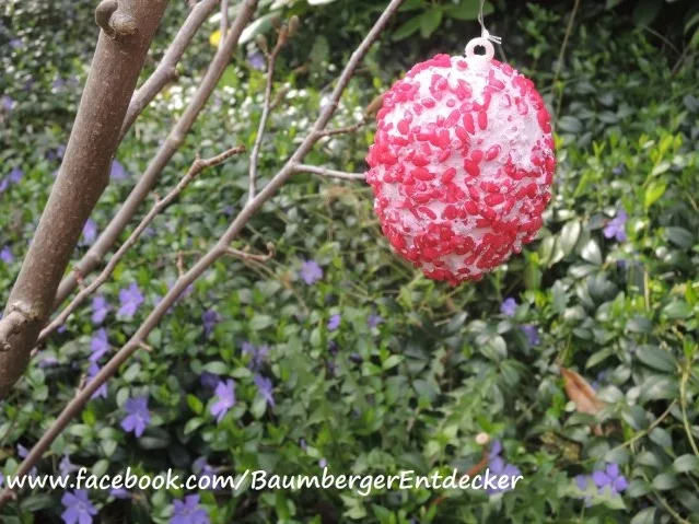 Milchreis färben - Rezept - Bild Nr. 7