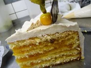 Aprikosen- OrangenTorte - Rezept