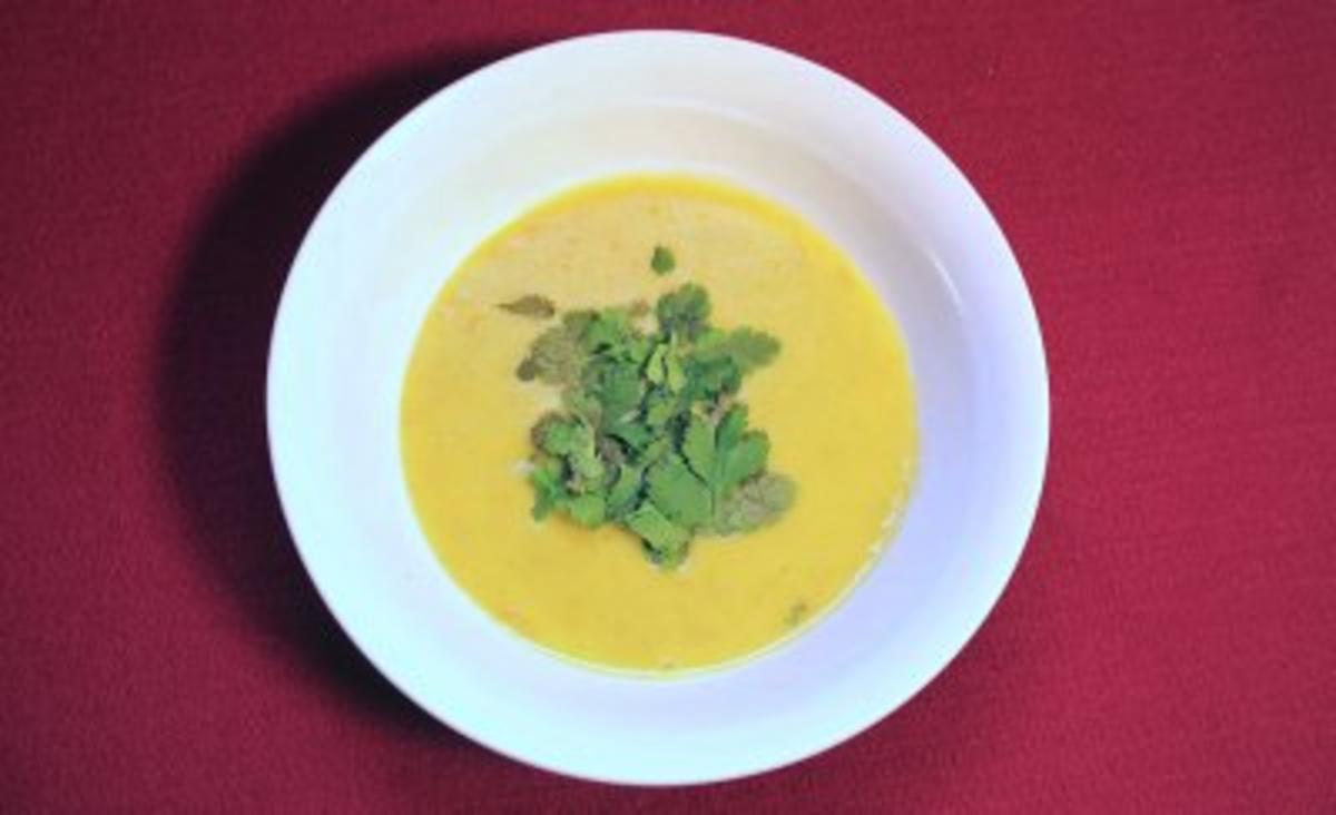 Hausgemachte Gemüsesuppe (Allegra Curtis) - Rezept