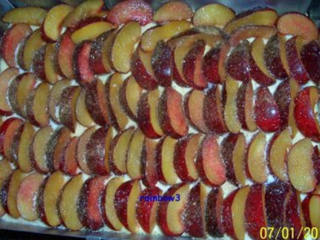 Backen: Pflaumenkuchen vom Blech - einfach - von rainbow3