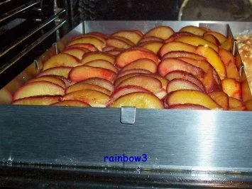 Rezept: Backen: Pflaumenkuchen vom Blech Bild Nr. 6 Backen: Pflaumenkuchen vom Blech - Rezept - Bild Nr. 6