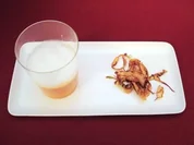 Melonen-Karotten-Suppe mit Chili-Kokosschaum und frittiertem Fenchel (Jochen Bendel) - Rezept