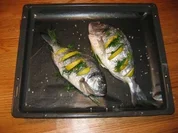 Dorade gebacken - Rezept