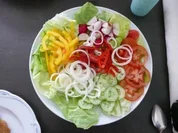 Rezept: Salat : Bunter Salatteller mit Joghurtsoße Salat : Bunter Salatteller mit Joghurtsoße - Rezept