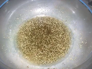 Teufelchens Wildschwein in einer Hollunderweinsoße - Rezept - Bild Nr. 17