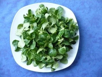 Winterlicher Salat mit Räucherfisch - Rezept - Bild Nr. 2