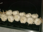 Rezept: Knofisuppn Ist Sie zu stark bist Du zu schwach Knofisuppn Ist Sie zu stark bist Du zu schwach - Rezept