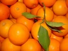 Orangenmarmelade mit Ingwer und Schmackes - Rezept