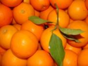 Orangenmarmelade mit Ingwer und Schmackes - Rezept