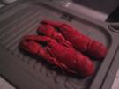 Hummer in Zitronenbuttersauce - Rezept