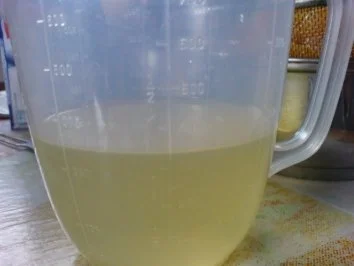 Rezept: Mandarinen-Quark-Sahne-Torte Bild Nr. 8 Mandarinen-Quark-Sahne-Torte - Rezept - Bild Nr. 8