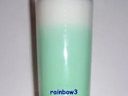 Getränk: Kokos-Pfefferminz-Shake - Rezept