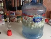 Rezept: Bananenwein nach Ralfs Rezept Bild Nr. 4 Bananenwein nach Ralfs Rezept - Rezept - Bild Nr. 4