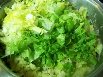 Rezept: Flusswaller auf Endivien-Stampf Bild Nr. 9 Flusswaller auf Endivien-Stampf - Rezept - Bild Nr. 9