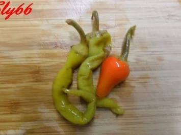 Fleischgerichte:Hackfleischbällchen in Tomatensoße - Rezept - Bild Nr. 9