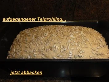 Rezept: Brot: SONNENBLUMENKERNE Bild Nr. 9 Brot: SONNENBLUMENKERNE - Rezept - Bild Nr. 9