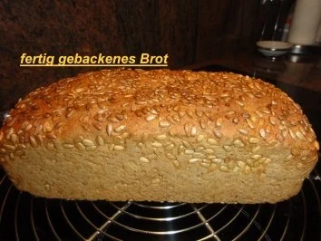 Rezept: Brot: SONNENBLUMENKERNE Bild Nr. 10 Brot: SONNENBLUMENKERNE - Rezept - Bild Nr. 10