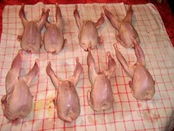 Wachteln - Rezept - Bild Nr. 5