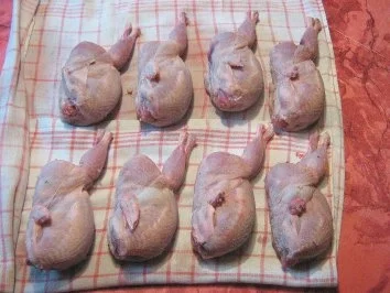 Wachteln - Rezept - Bild Nr. 6