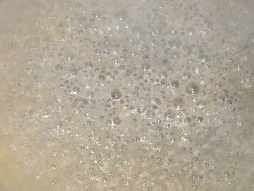 Jakobsmuscheln mit Ricardsauce und Spaghetti - Rezept - Bild Nr. 3