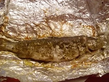 Folienforelle für Grill und Bachofen!!! - Rezept - Bild Nr. 5