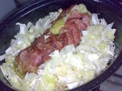 Lendchen im Spitzkohl-Speckmantel - Rezept