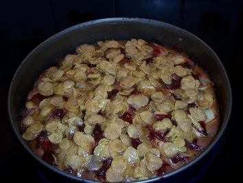 Rührkuchen mit Äpfeln und Preiselbeeren unter Knusperhaube - Rezept - Bild Nr. 2