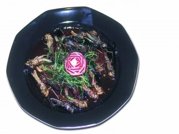 Rezept: Pad Prig Geng Taggataen „Knusprig gebratene scharfe Heuschrecken“ Pad Prig Geng Taggataen „Knusprig gebratene scharfe Heuschrecken“ - Rezept