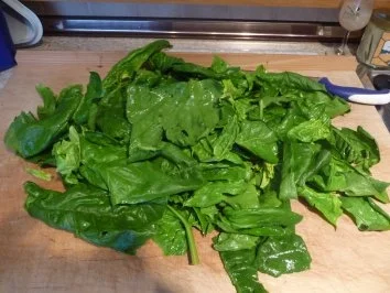 Rezept: Pasta :Meine Maultaschen...heute... in Brühe mit Ei Bild Nr. 3 Pasta :Meine Maultaschen...heute... in Brühe mit Ei - Rezept - Bild Nr. 3