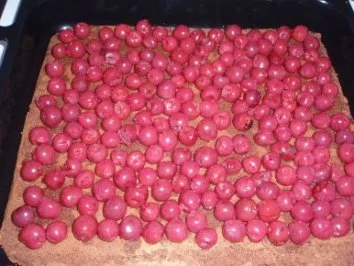 Rezept: Torte: Kirsch-Flockenschnitten - After Eight Bild Nr. 5 Torte: Kirsch-Flockenschnitten - After Eight - Rezept - Bild Nr. 5