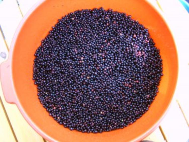 Holunderbeeren Gelee - schnell &amp; einfach - 86 kcal/100g