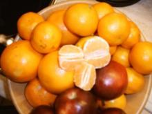 Orange / Clementienen / Apfel - Gelee - Rezept