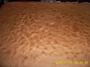 Rezept: Biskuitrolle mit Aprikosenmarmelade Bilder on Bild Nr. 7 Biskuitrolle mit Aprikosenmarmelade Bilder on - Rezept - Bild Nr. 7