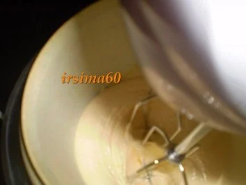 Schokoladen – Zimt - Eis mit einem Hauch Zitrone - Rezept - Bild Nr. 5