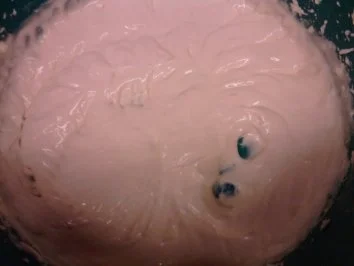 Tiramisuuuuuuuu - Rezept - Bild Nr. 6