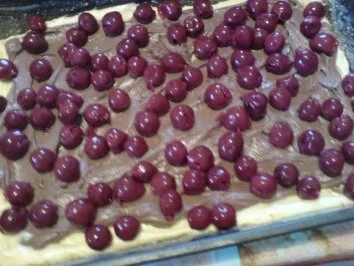 Donauwelle - Rezept - Bild Nr. 7