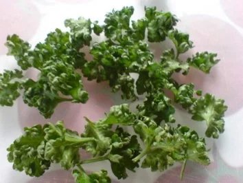 Rezept: Hähnchenbrüste in sahniger Gemüse-Soße Bild Nr. 9 Hähnchenbrüste in sahniger Gemüse-Soße - Rezept - Bild Nr. 9