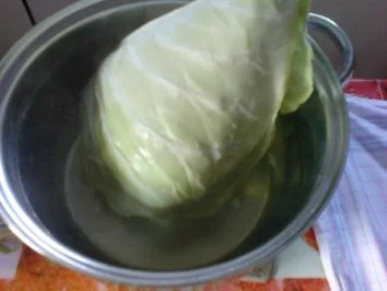 Kohlrouladen vom Spitzkohl - Rezept - Bild Nr. 5