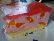 Mandarinen-Quarksahne-Torte - Rezept