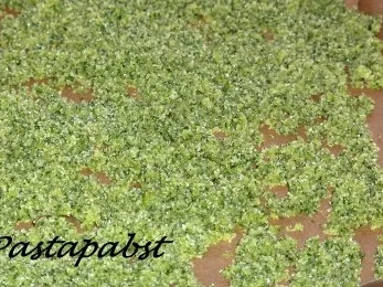 Rezept: Rucola-Balsamico Salz Bild Nr. 5 Rucola-Balsamico Salz - Rezept - Bild Nr. 5