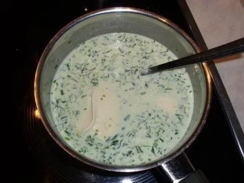 Pasta: Ralfs leckere Nudelröllchen - Rezept - Bild Nr. 4