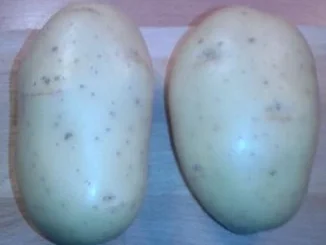 Beefsteak mit Folienkartoffel und Eisbergsalat - Rezept - Bild Nr. 2