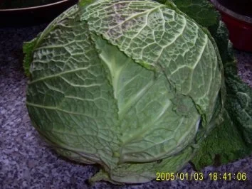 Mein Wirsingeintopf Bilder on - Rezept - Bild Nr. 2