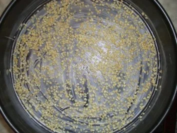 Cornflakes - Käsetorte - Rezept - Bild Nr. 3