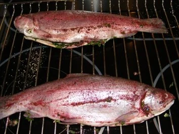 Forelle Lila - Rezept - Bild Nr. 3